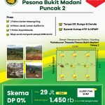 Kebun Durian di Perkebunan Terpadu Pesona Bukit Madani Tahap 2
