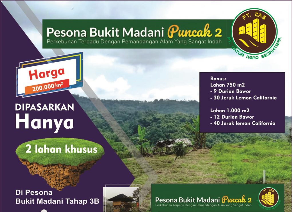 promo spesial perkebunan durian pesona bukit madani tahap 3b
