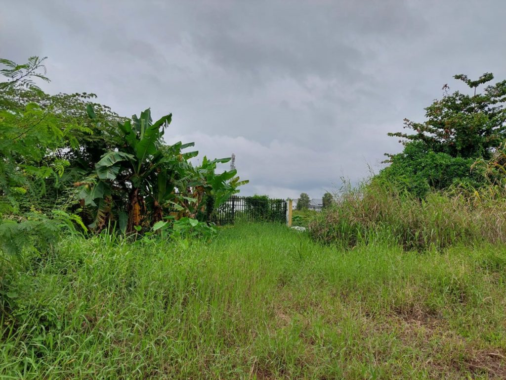 JUAL CEPAT TANAH DARAT DIPINGGIR JALAN PROPINSI DI JAKABARING, BANYUASIN, PALEMBANG, SUMATERA SELATAN