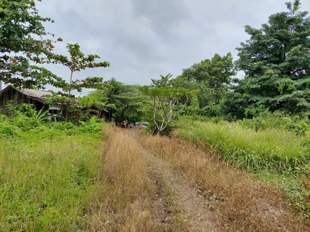 JUAL CEPAT TANAH DARAT DIPINGGIR JALAN PROPINSI DI JAKABARING, BANYUASIN, PALEMBANG, SUMATERA SELATAN