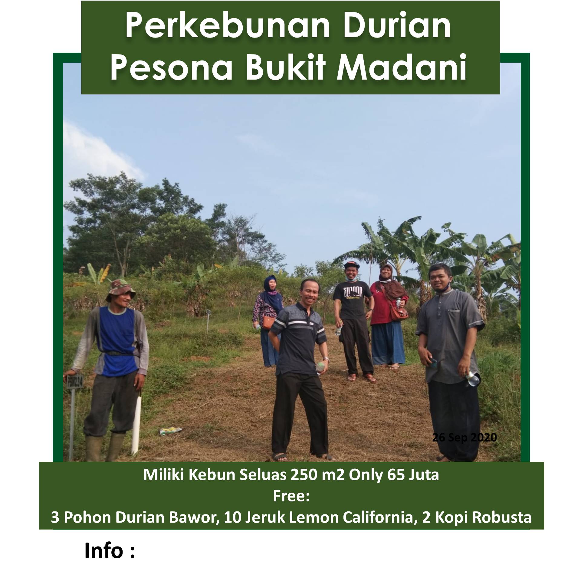 update lokasi kebun durian bawor dan musang king pesona bukit madani