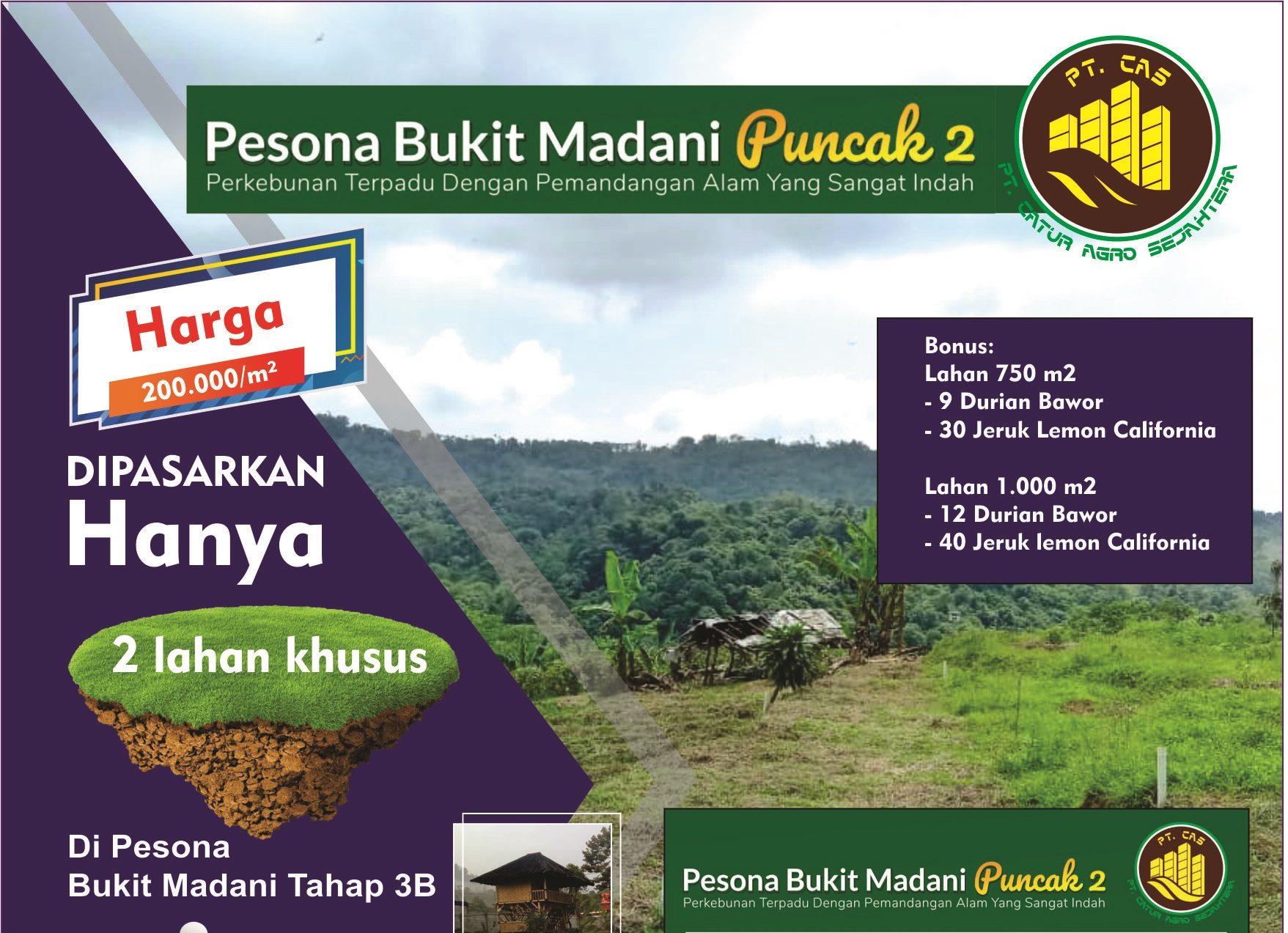 promo spesial perkebunan durian pesona bukit madani tahap 3b