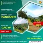 Ready Stock Kebun Durian dan Lemon di Pesona Alam Pancaniti – Projek dari PT. Catur Agro Sejahtera