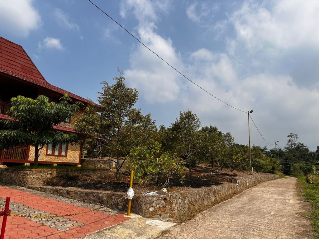 Jual Villa besar 2 lantai di dalam kebun durian bawor siap berbuah