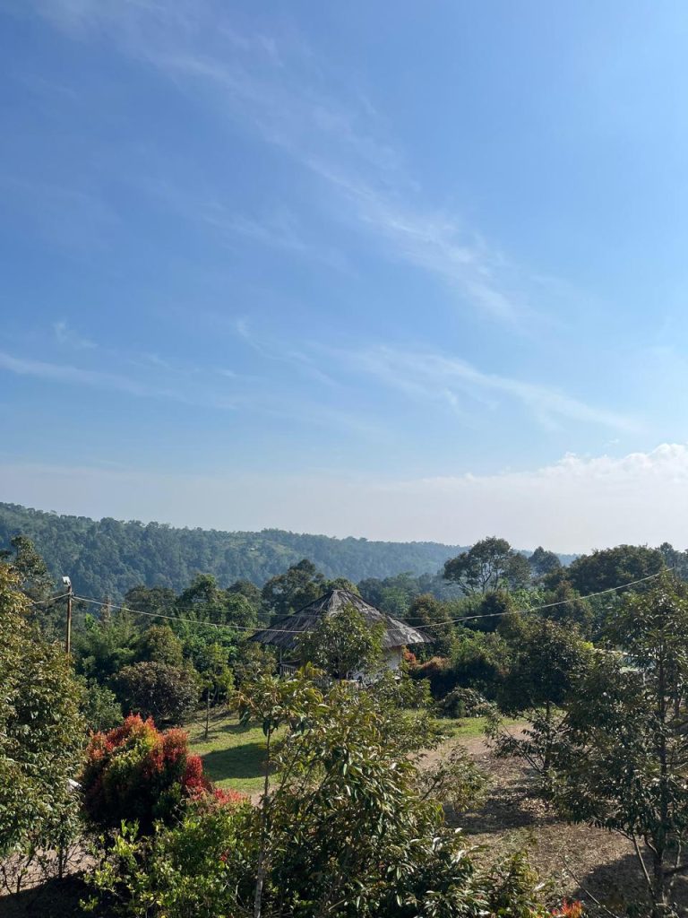 INFO TUNGGIR AYAM - BAGIAN DARI AYAM YANG GURIH DAN KAYA PROTEIN