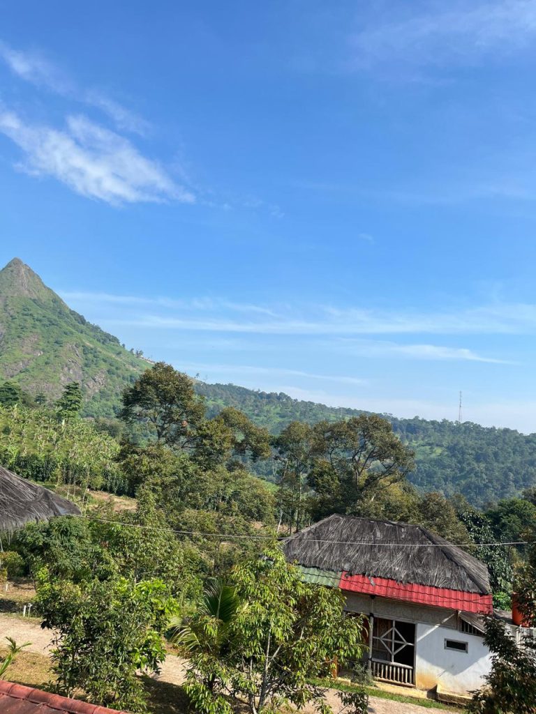 JUAL CEPAT VILLA CANTIK 2 LANTAI PLUS KEBUN DURIAN BAWOR SIAP BERBUAH