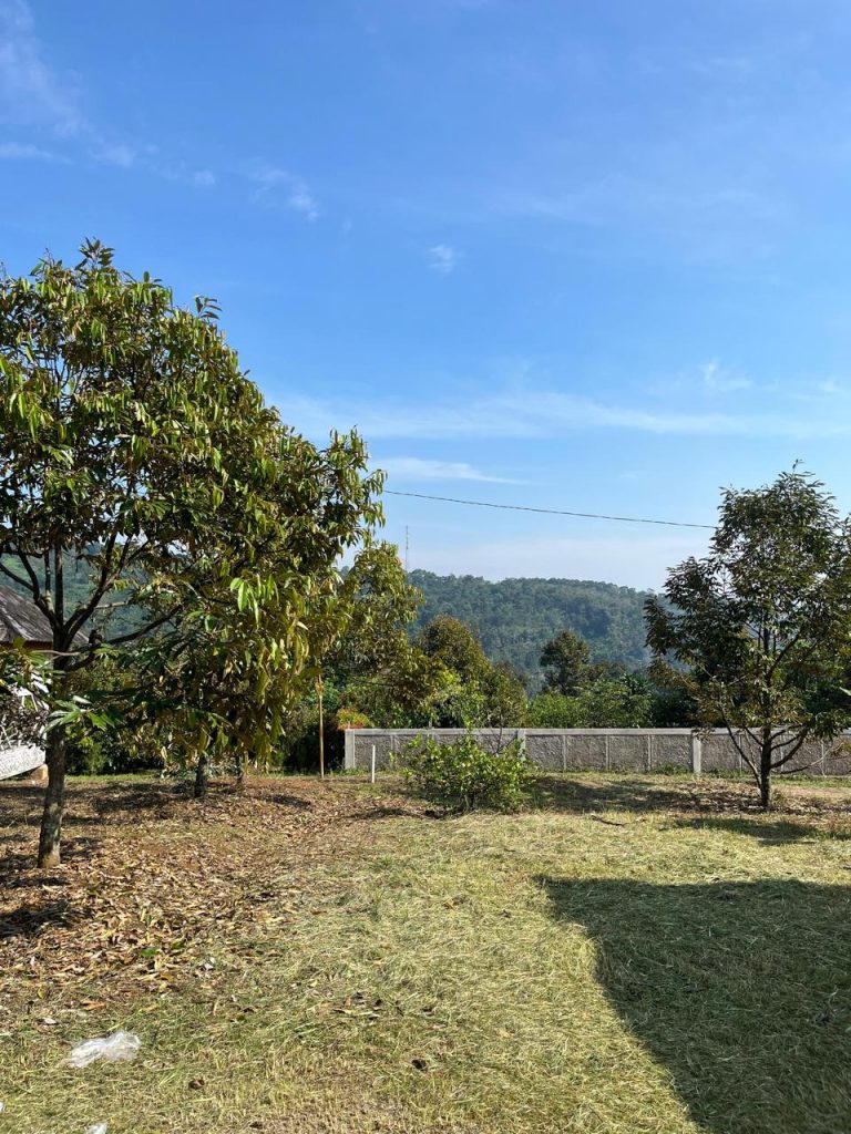 JUAL CEPAT VILLA CANTIK 2 LANTAI PLUS KEBUN DURIAN BAWOR SIAP BERBUAH