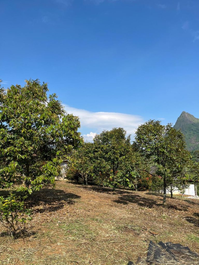 JUAL CEPAT VILLA CANTIK 2 LANTAI PLUS KEBUN DURIAN BAWOR SIAP BERBUAH