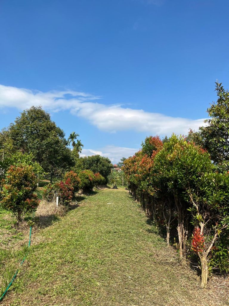 JUAL CEPAT VILLA CANTIK 2 LANTAI PLUS KEBUN DURIAN BAWOR SIAP BERBUAH